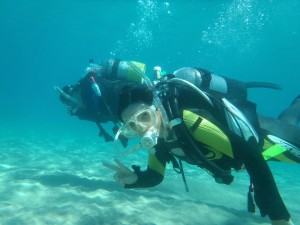 兵庫県　居組　ファン & 体験ダイビング