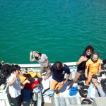 IMG_20140627_10102656