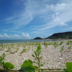 IMG_20140627_151625681