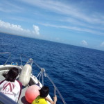 IMG_20140628_142223218