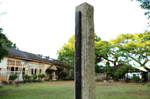 o0800053311484055270