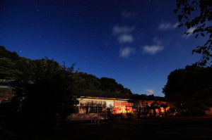 o0800053311484056283