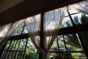 お盆　高知ツアー @ 幡多郡 | 高知県 | 日本